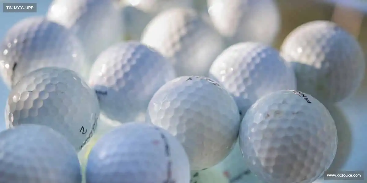 行业领先的理由